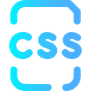CSS