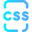 CSS